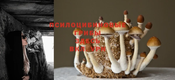 кокаин Армянск