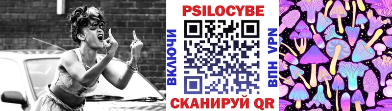 Псилоцибиновые грибы ЛСД  даркнет сайт  Николаевск-на-Амуре 